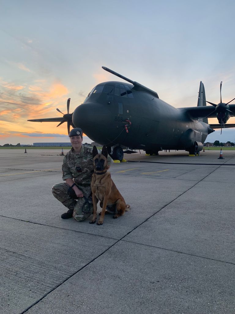 RAF Police Handler and dog, Hercules aircraft in background.